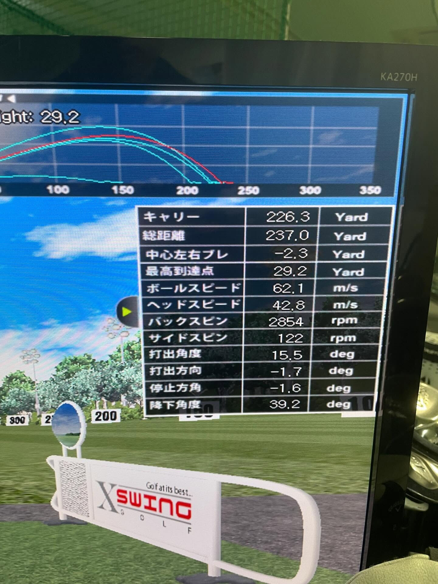 今年も飛びます