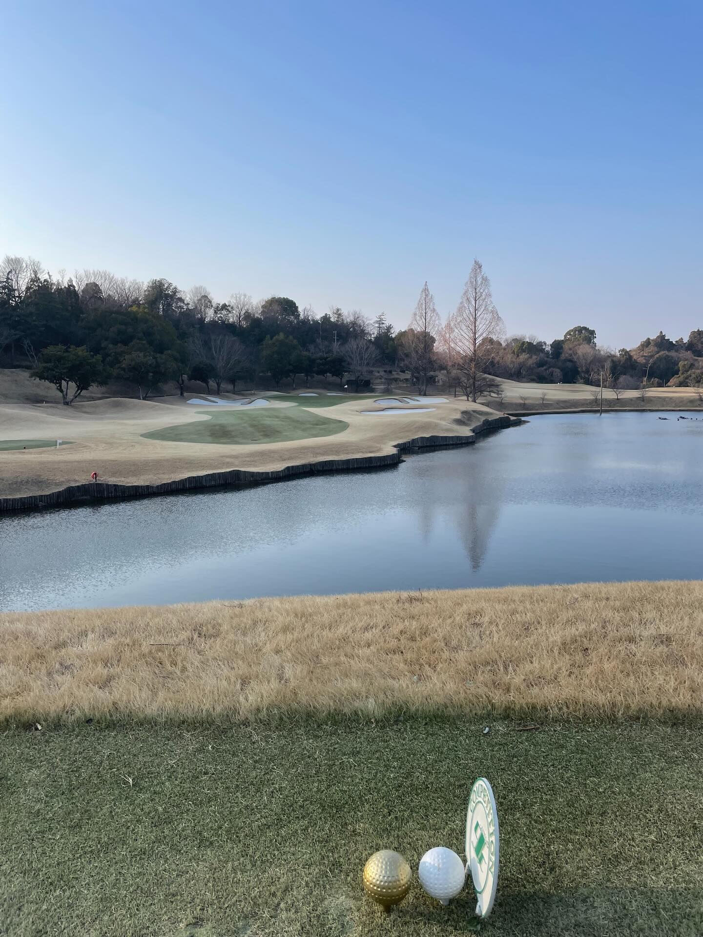 去年男子ツアーのパナソニックオープンが行われた